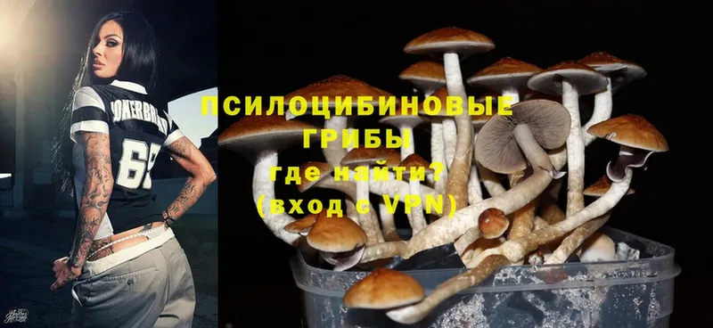 Галлюциногенные грибы Magic Shrooms Бахчисарай